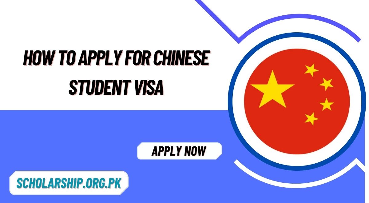 How to apply for Chinese Student Visa